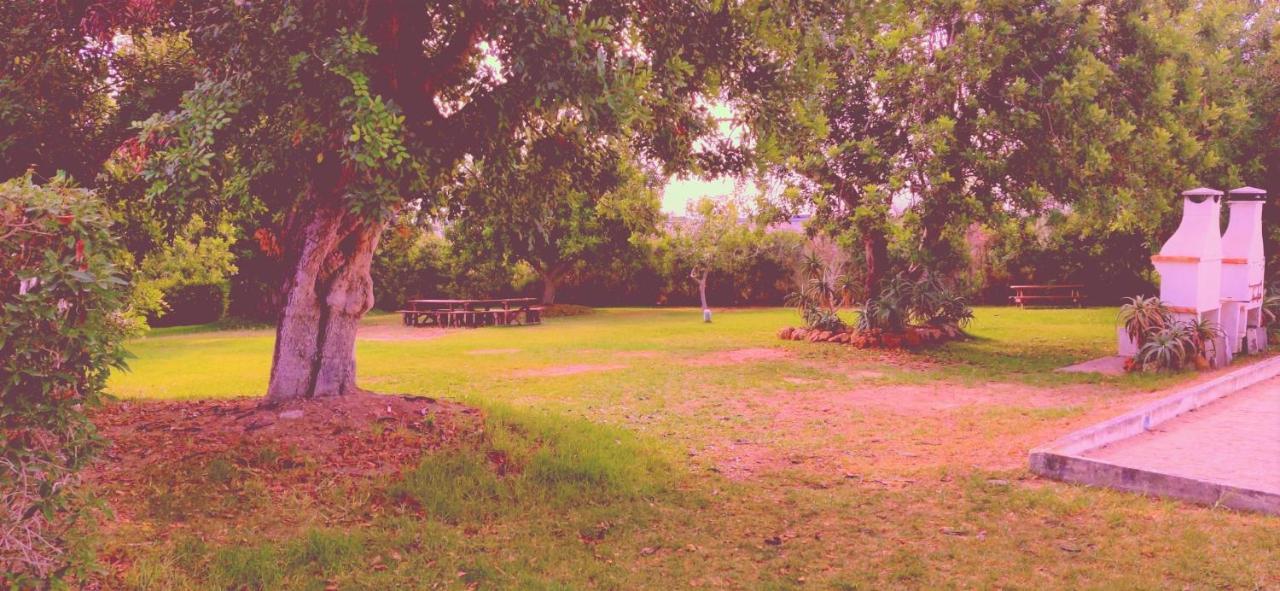 Cantinho Azul - Tavira Garden ภายนอก รูปภาพ